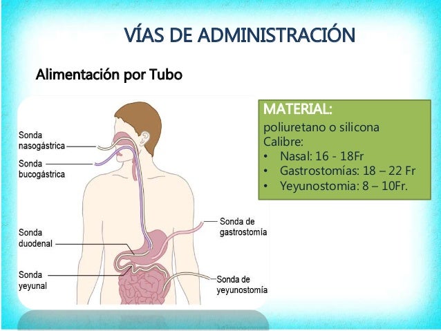 Cuales Son Las Vias De Administracion Enteral www.slideshare.net