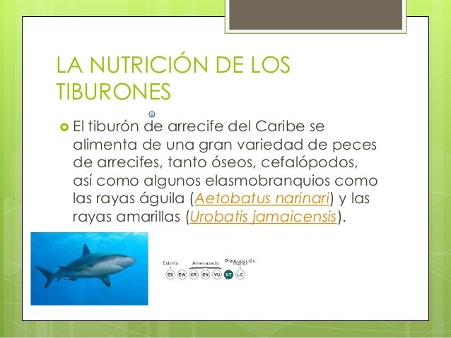 Si es posible aumentar el pecho con la ayuda la comida