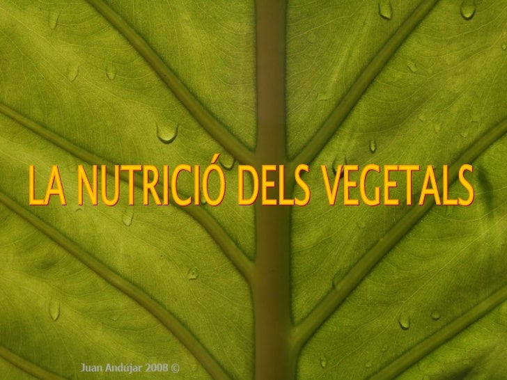 A QUE ELS ANIMALS I LES PLANTES a que els animals i les plantes: