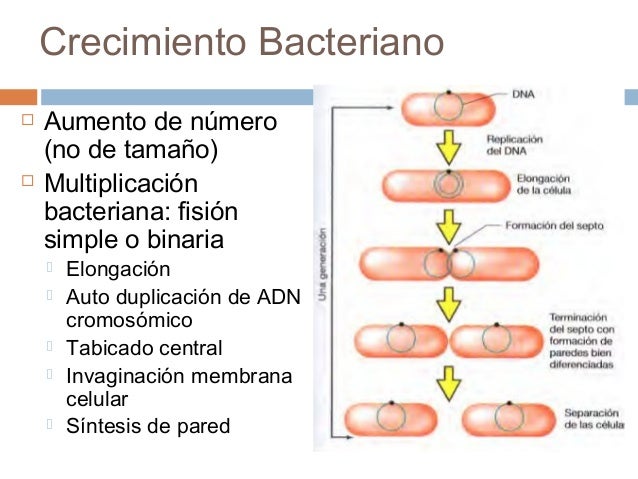 Imagen relacionada