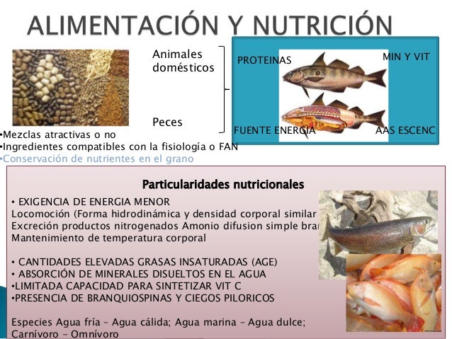 Principios generales en nutricion de peces