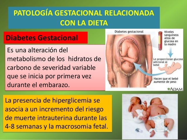 El doctor grossman el adelgazamiento