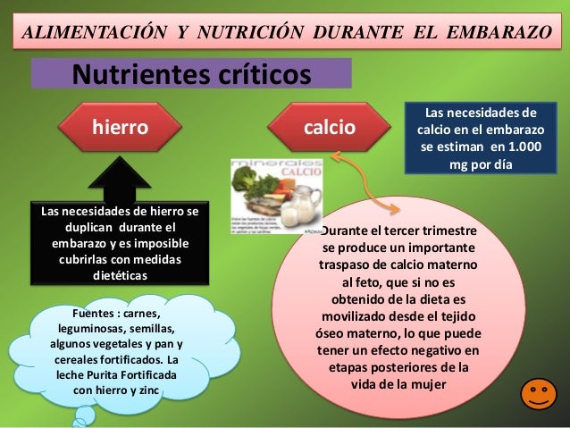 alimentaci n para embarazadas primer trimestre alimentacion adecuada durante el embarazo alimentos alimentaci n para embarazadas primer trimestre alimentacion adecuada durante el embarazo alimentos