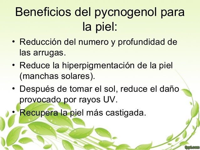 Resultado de imagen para beneficios de Pycnogenol