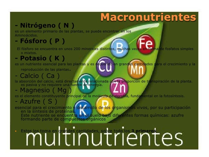 Que Son Los Macronutrientes Y Micronutrientes Del Suelo