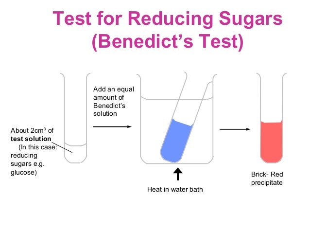 1 find amount reducing sugars and starch yelloe and green Lab 1 testing organic therefore, a bluish black color is a positive test for starch, and a yellow-ish brown color (ie, no color change) is a negative test for starch glycogen 1 benedict's - test for reducing sugars (free or potentially free aldehyde or ketone groups. 1 find amount reducing sugars and starch yelloe and green Lab 1 testing organic therefore, a bluish black color is a positive test for starch, and a yellow-ish brown color (ie, no color change) is a negative test for starch glycogen 1 benedict's - test for reducing sugars (free or potentially free aldehyde or ketone groups.