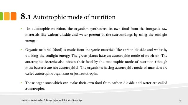 essay autotrophic mode nutrition essay autotrophic mode nutrition