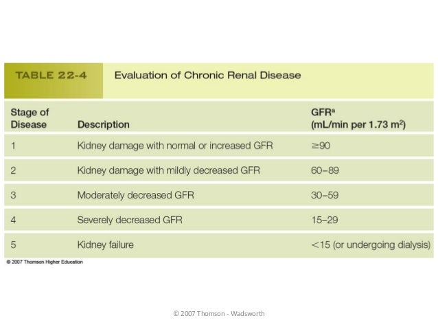 Peritoneal Dialysis nutrition therapy