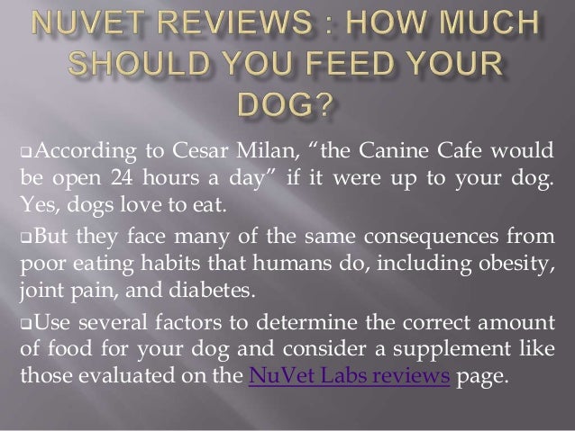 how much should you feed a according to cesar milan the canine cafe wouldbe open 24 hours a day if it were how much should you feed a according to cesar milan the canine cafe wouldbe open 24 hours a day if it were