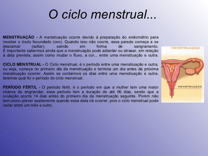 O ciclo menstrual... MENSTRUAÇÂO - A menstruação ocorre devido à preparação do endométrio para receber o óvulo fecundado ...