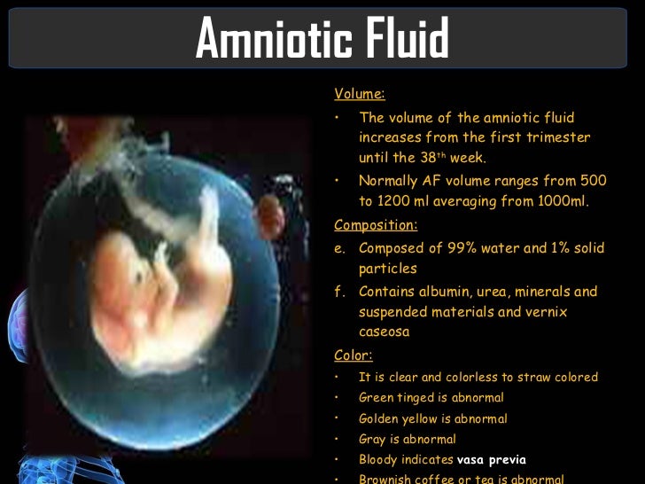 Conception/Obstetrics Nursing