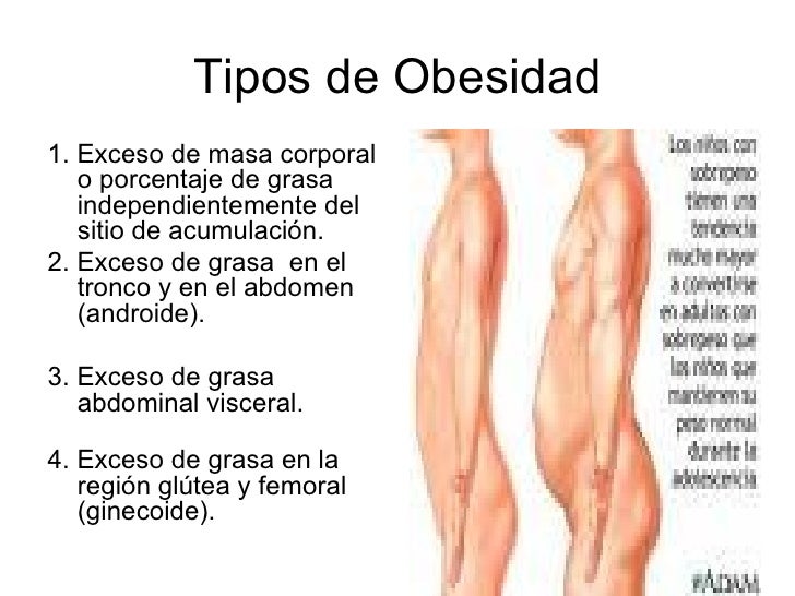 recetas caseras para eliminar la grasa del abdomen recetas caseras para eliminar la grasa del abdomen