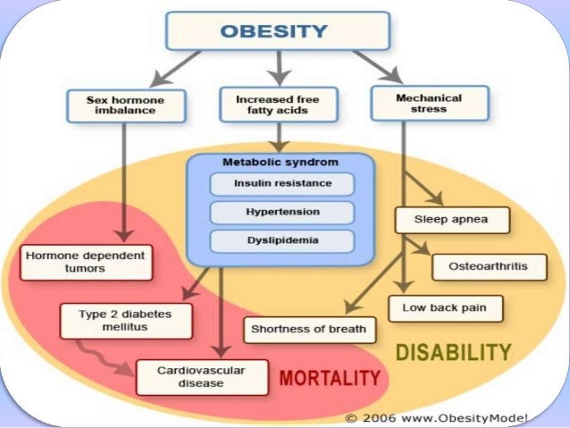 Cause effect essay obesity