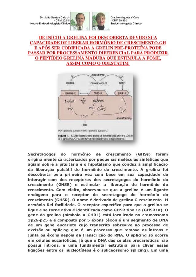Obesos grelina e obestatina grelina aumenta fome e Obesos grelina e obestatina grelina aumenta fome e