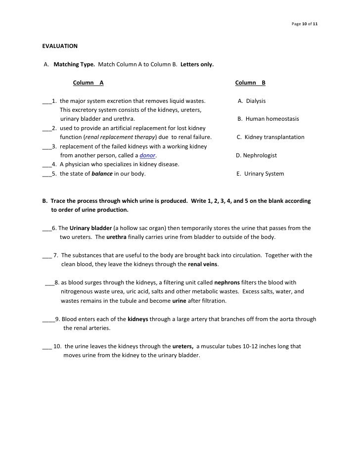 objectives of lesson plan urinary system 10 728