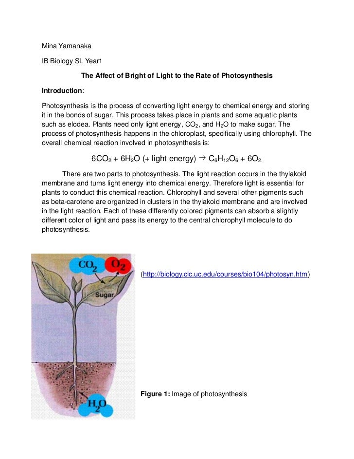 photosynthesis in elodea lab The use of co2 by elodea during photosynthesis obtain the elodea a few days in advance of the lab and enhance growth with an artificial. photosynthesis in elodea lab The use of co2 by elodea during photosynthesis obtain the elodea a few days in advance of the lab and enhance growth with an artificial.