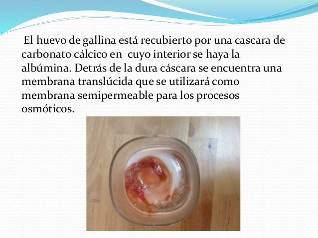 Los síntomas de la impotencia de hombre