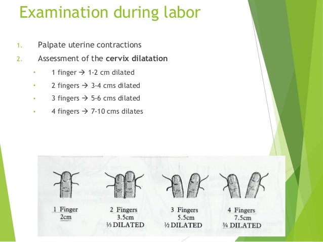 Obstetric Physical Examination obstetric-physical-examination