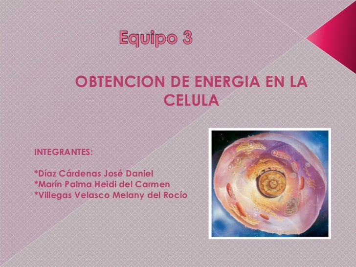 Obtencion de energia en la celula