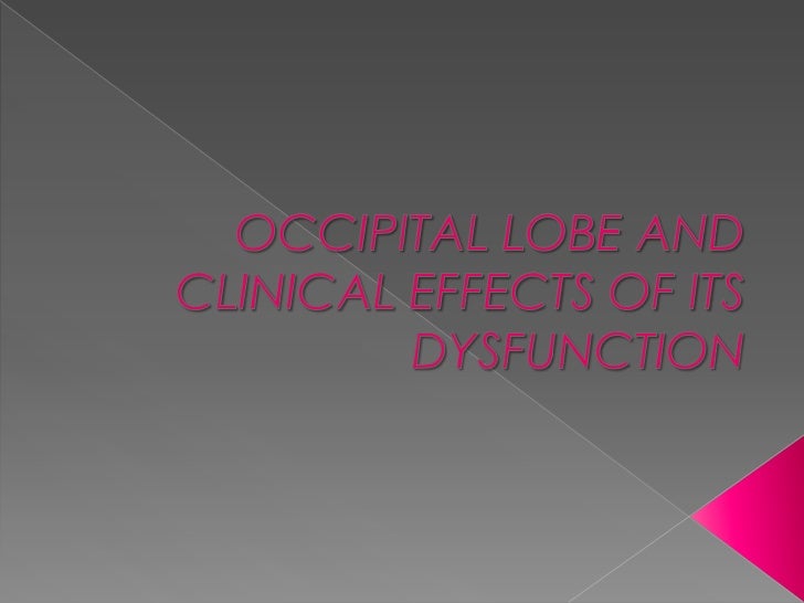 the temporal lobe and its effects on The temporal lobe is one of the four paired lobes in the brain this lobe, which is located above your ears, controls your memory, as well as language and emotions, and it’s one of the most. the temporal lobe and its effects on The temporal lobe is one of the four paired lobes in the brain this lobe, which is located above your ears, controls your memory, as well as language and emotions, and it’s one of the most.