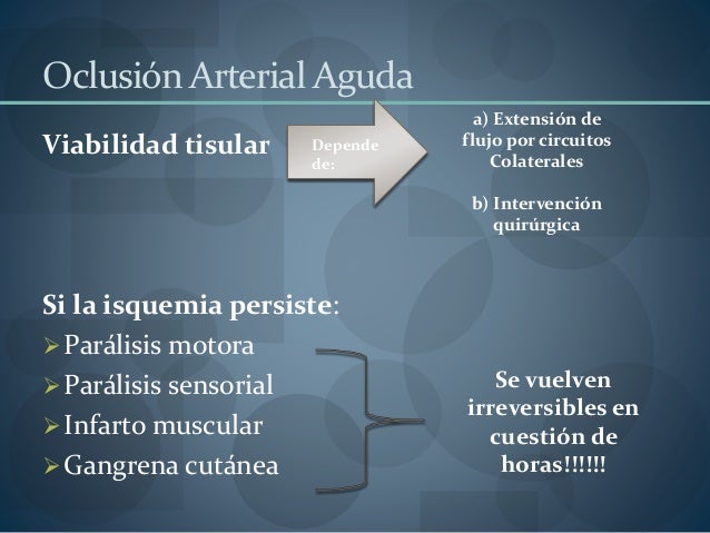 Las recomendaciones a varikoze