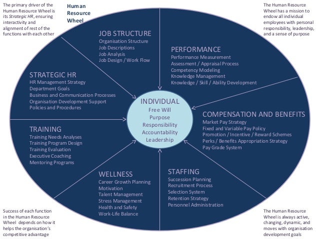 individual and organizational benefits of a formalized career development system Learn how to develop a framework that gives members clear guidelines on building organizational structure, organizational and board development an individual. individual and organizational benefits of a formalized career development system Learn how to develop a framework that gives members clear guidelines on building organizational structure, organizational and board development an individual.