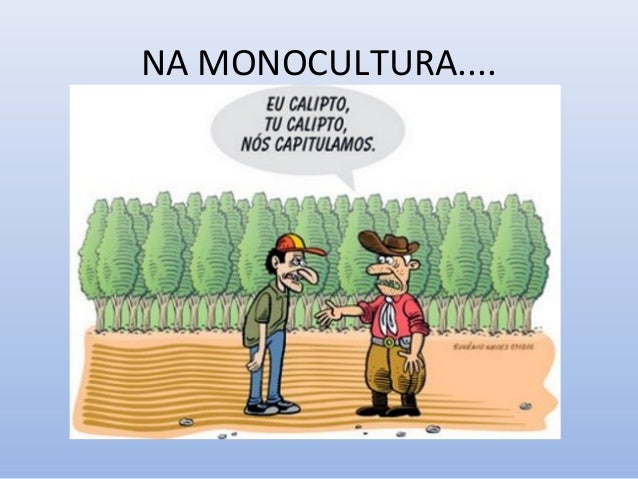 Comprar champiks em SPb uma farmácia ozerka