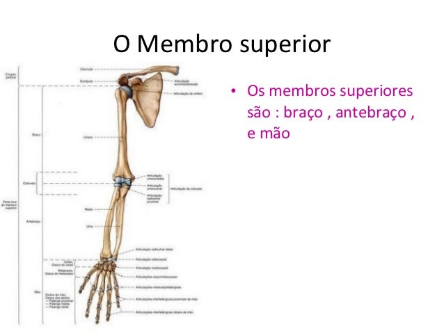 Aumento de operação em um pênis de SPb