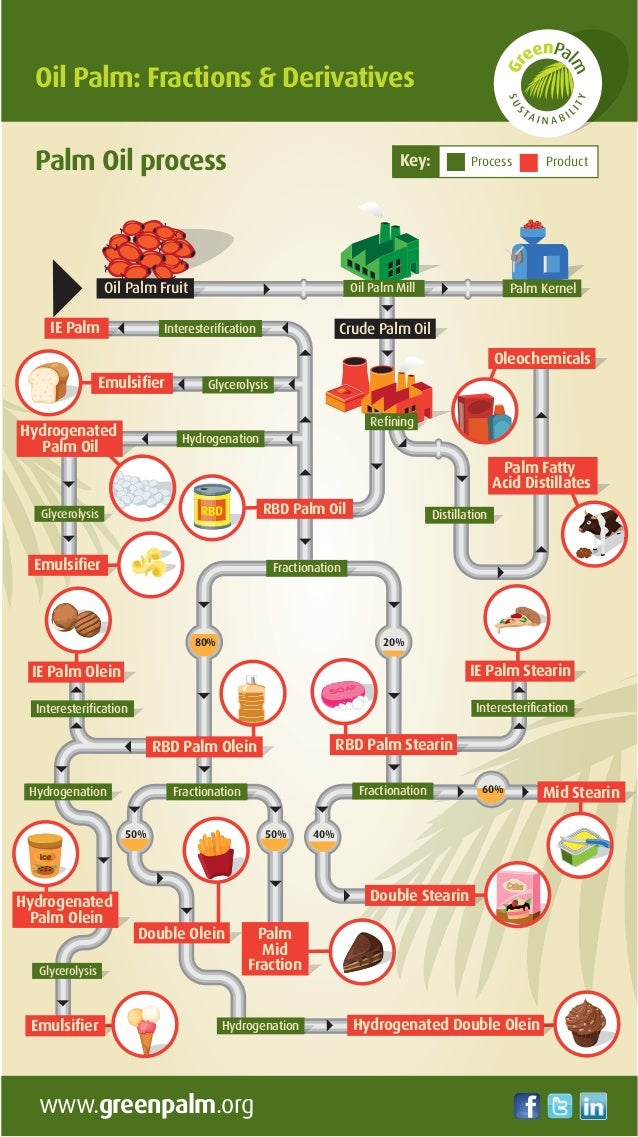 Palm Oil, Palm Kernel Oil Process Fractions, Derivatives and Produc…