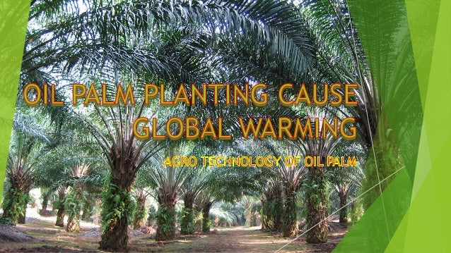 Essay On Global Warming