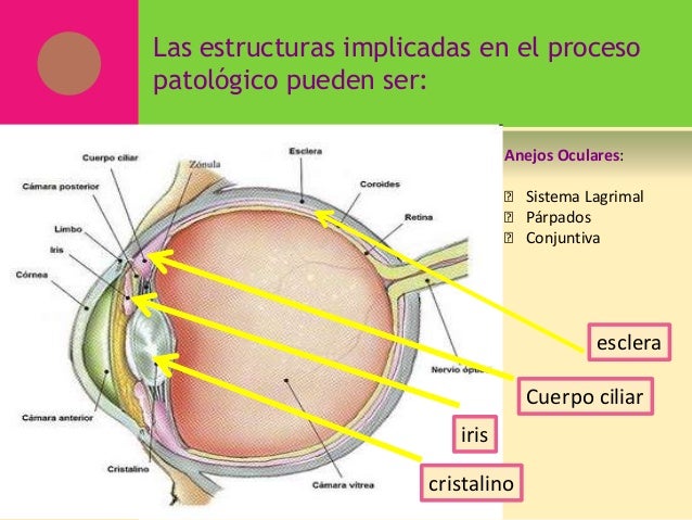 Las máscaras para la persona del cuello de las manos y los pies