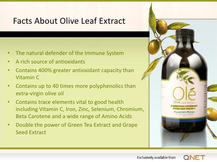 Ole Leaf Extract Presentation