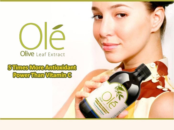 Olive Leaf Extract Good For Dogs Olive Leaf Extract Good For Dogs