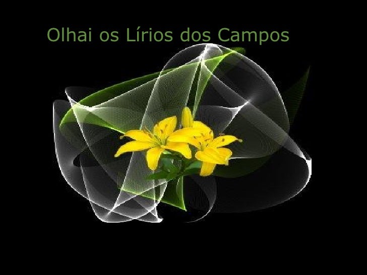 Olhai Os Lirios Do Campo [1961– ]