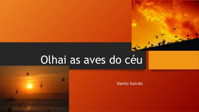 Olhai as aves do céu - Palestrante Professor Danilo Galvão - SAJ/BA