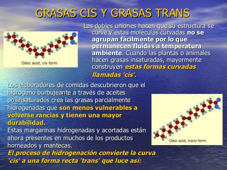 Omega 3