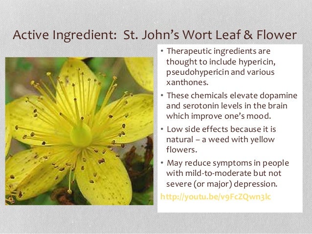 lexapro withdrawal st. johns wort