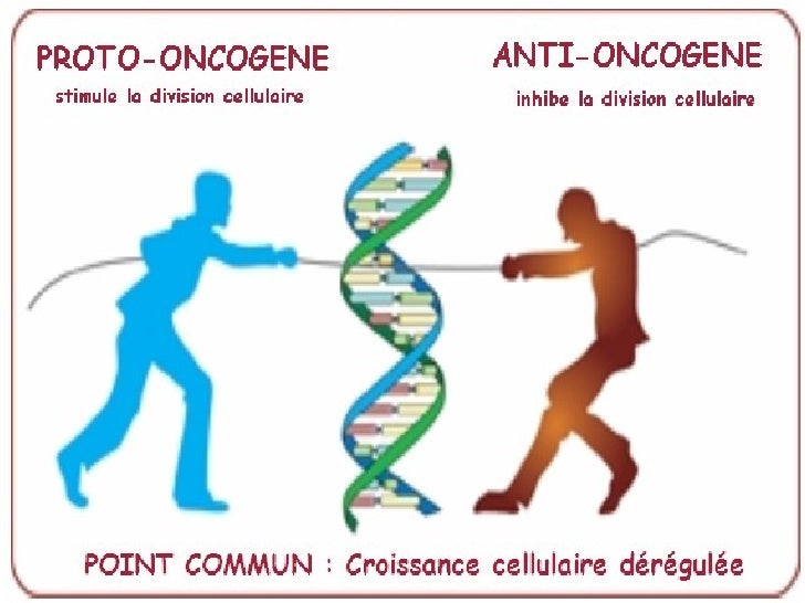 Carcinome Epidermoide Bronchique