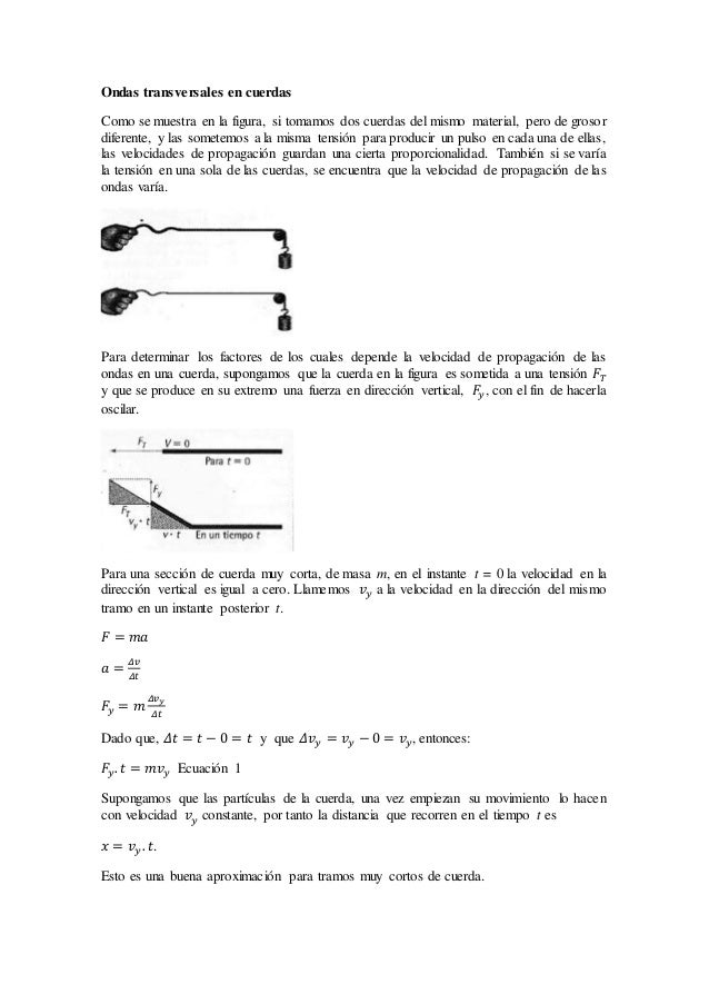 Ondas transversales en cuerdas