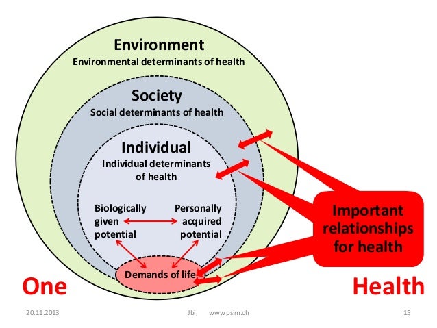 12 social determinants of health 12 social determinants of health