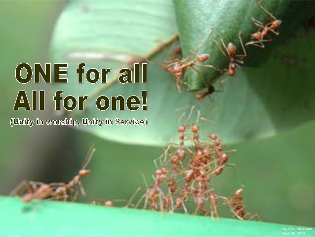 One For All All For One One for all , all for one