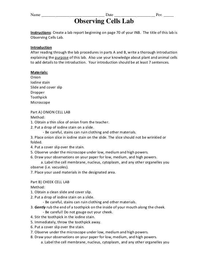 biology lab report template
