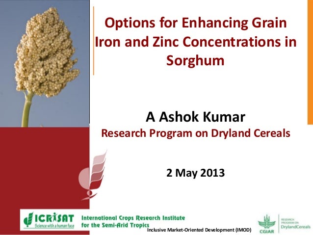 Options trading grain