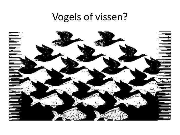 Optische illusies ckv