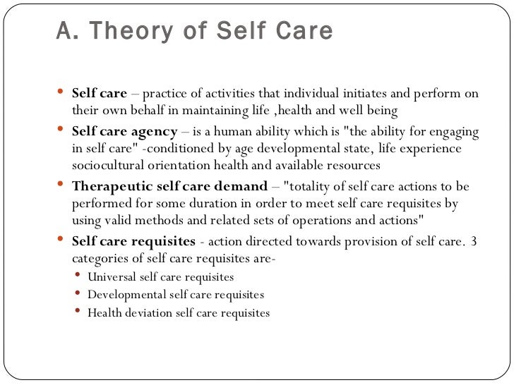 theory vs practice essay theory vs practice essay