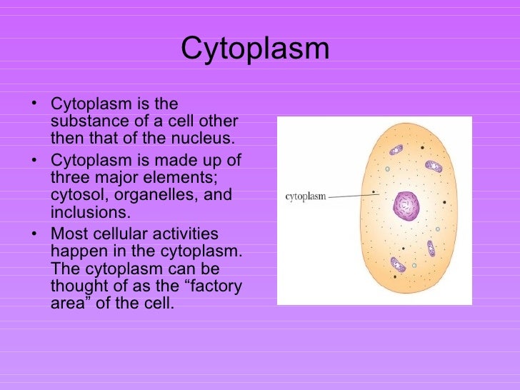 cytoplasm DriverLayer Search Engine