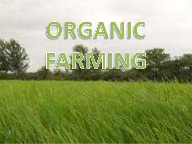 Organic Farming in India