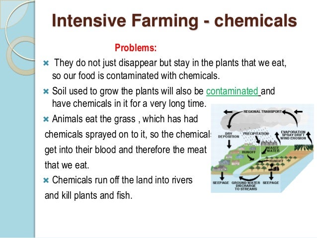 Intensive vs organic farming essay