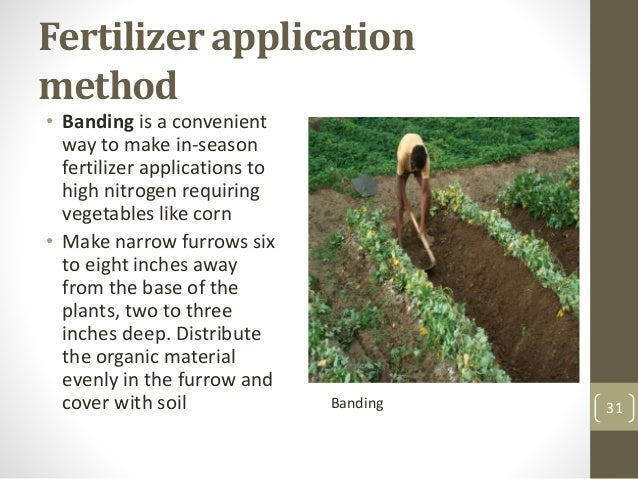 Organic Fertilizers organic-fertilizers