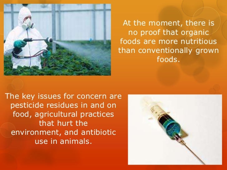 Organic food essay